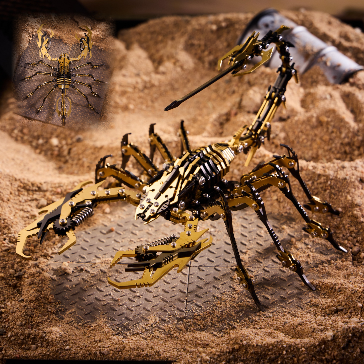 Multi-Color Model